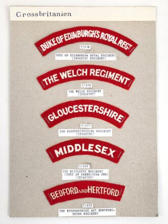 Großbritannien, Sammlung Ärmelabzeichen, auf...