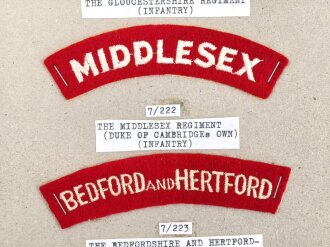 Großbritannien, Sammlung Ärmelabzeichen, auf Karton getackert