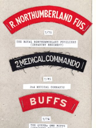 Großbritannien, Sammlung Ärmelabzeichen, auf...
