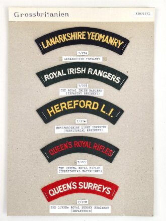 Großbritannien, Sammlung Ärmelabzeichen, auf...