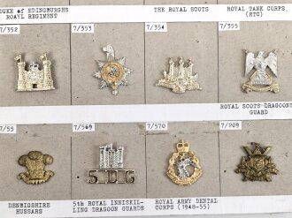 Großbritannien, Sammlung Schulter und Kragenspiegelauflagen