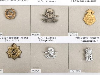 Großbritannien, Sammlung Schulter und Kragenspiegelauflagen, auf Karton teils getackert