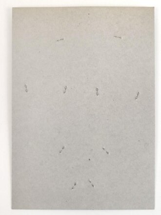 Großbritannien, Sammlung Ärmel und Mützenabzeichen, auf Karton getackert