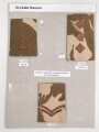 Großbritannien, Sammlung Rangabzeichen Heer, auf Karton getackert