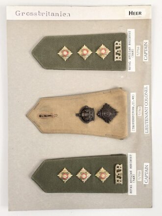 Großbritannien, Sammlung Schulterklappen Heer, auf Karton getackert