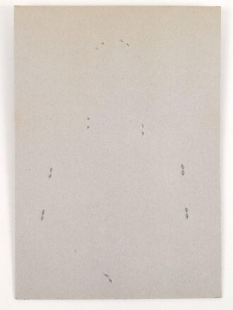 Großbritannien, Sammlung Rangabzeichen Polizei, auf Karton getackert