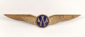 Niederlande, Brustabzeichen Observer Royal Netherlands Indian Army Air Service