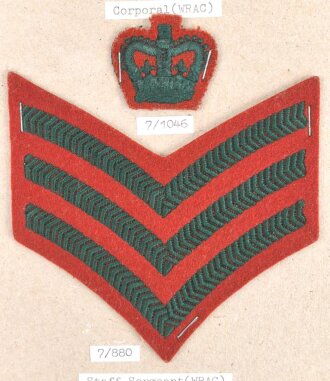 Großbritannien, Sammlung Rangabzeichen Heer, auf Karton getackert