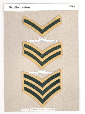Großbritannien, Sammlung Rangabzeichen Heer, auf Karton getackert
