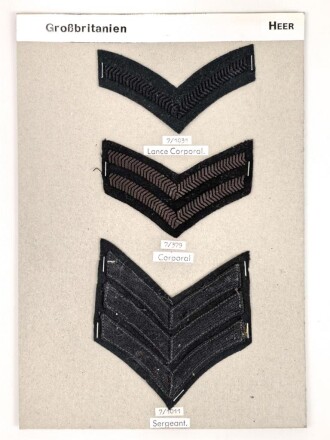 Großbritannien, Sammlung Rangabzeichen Heer, auf Karton getackert