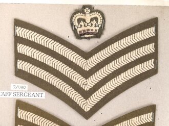 Großbritannien, Sammlung Rangabzeichen Heer, auf...
