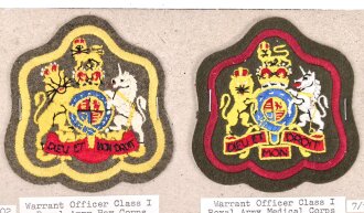 Großbritannien, Sammlung Ärmelabzeichen Heer,...