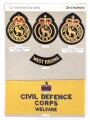 Großbritannien, Sammlung Ärmelabzeichen und Armbinde Zivilschutz, auf Karton getackert
