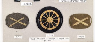 Großbritannien, Sammlung Ärmelabzeichen, auf Karton getackert
