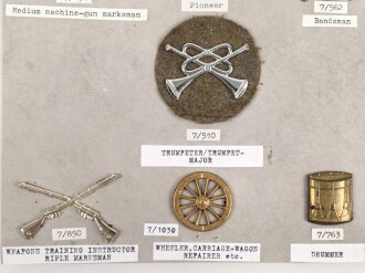 Großbritannien, Sammlung Schulterklappen und Kragenspiegel Auflagen