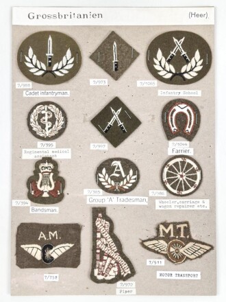 Großbritannien, Sammlung Ärmelabzeichen Heer, auf Karton getackert