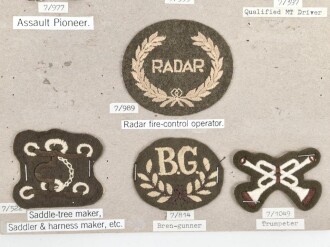 Großbritannien, Sammlung Ärmelabzeichen Heer, auf Karton getackert