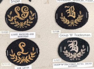 Großbritannien, Sammlung Tätigkeitsabzeichen, auf Karton getackert