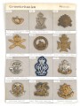 Großbritannien, Sammlung Mützenabzeichen, teils auf Karton geklebt