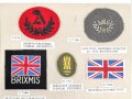 Großbritannien, Sammlung Ärmelabzeichen, auf Karton geklebt