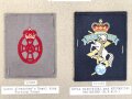 Großbritannien, Sammlung Ärmelabzeichen, auf Karton getackert
