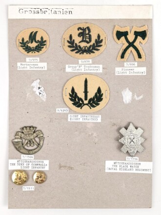 Großbritannien, Sammlung Mützen und Effektenabzeichen, teils auf Karton getackert