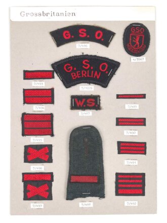 Großbritannien, Sammlung Rangabzeichen, auf Karton getackert