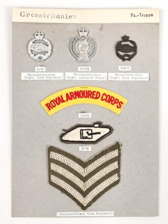 Großbritannien, Sammlung Mützenabzeichen und Rangabzeichen, auf Karton getackert