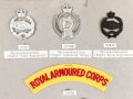 Großbritannien, Sammlung Mützenabzeichen und Rangabzeichen, auf Karton getackert