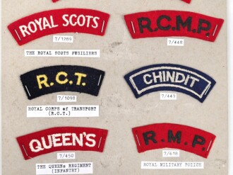 Großbritannien, Sammlung Ärmelabzeichen, auf Karton getackert
