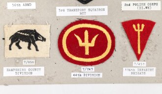 Großbritannien, Sammlung Ärmelabzeichen, auf Karton getackert