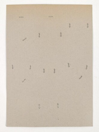 Großbritannien, Sammlung Ärmelabzeichen " Home Districts ", auf Karton getackert