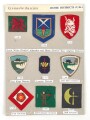 Großbritannien, Sammlung Ärmelabzeichen " Home Districts ", auf Karton getackert