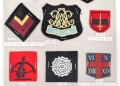 Großbritannien, Sammlung Ärmelabzeichen, auf Karton getackert
