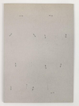 Großbritannien, Sammlung Ärmelabzeichen, auf Karton getackert