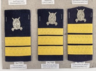 Rumänien, Sammlung Rangabzeichen der Polizei, auf Karton getackert