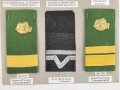 Rumänien, Sammlung Rangabzeichen verschiedener Einheiten, auf Karton getackert
