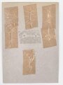 Laos, Sammlung 7 Abzeichen der Luftwaffe, auf Karton geklebt