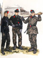 Osprey - Elite Series "Ardennes 1944: Peiper and Skorzeny" DIN A5, englisch