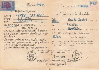 Gruppe Ausweise und Urkunden eines Hitlerjungen und späteren Angehörigen im Panzer Grenadier Regiment 1