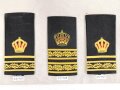 Schweden, Sammlung Rangabzeichen, auf Karton aufgeklebt