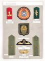 Schweden, Sammlung verschiedener Militärabzeichen, auf Karton befestigt