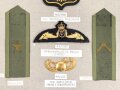 Schweden, Sammlung verschiedener Militärabzeichen, auf Karton befestigt