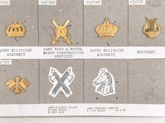 Schweden, Sammlung Regimentsabzeichen, auf Karton befestigt