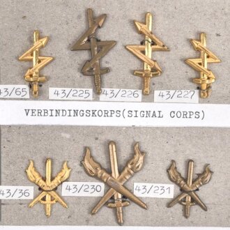 Schweden, Sammlung Regimentsabzeichen, auf Karton geklebt