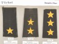 Türkei, Sammlung Rangabzeichen Heer, auf Karton getackert