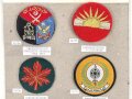 Pakistan, Sammlung Ärmelabzeichen, auf Karton geklebt