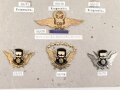 Venezuela, Sammlung verschiedene Abzeichen der Luftwaffe, auf Karton befestigt