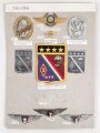 Mexiko, Sammlung Abzeichen der Luftwaffe, auf Karton getackert
