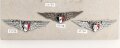 Mexiko, Sammlung Abzeichen der Luftwaffe, auf Karton getackert